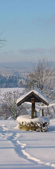 Brunnen auf der Griesemert